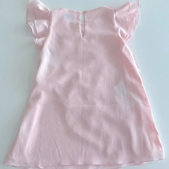 Special Day Pink Ruffles Dress New - Picture 5 of 7